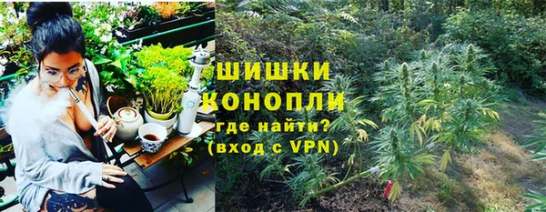 амф Володарск